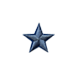 Blue Star